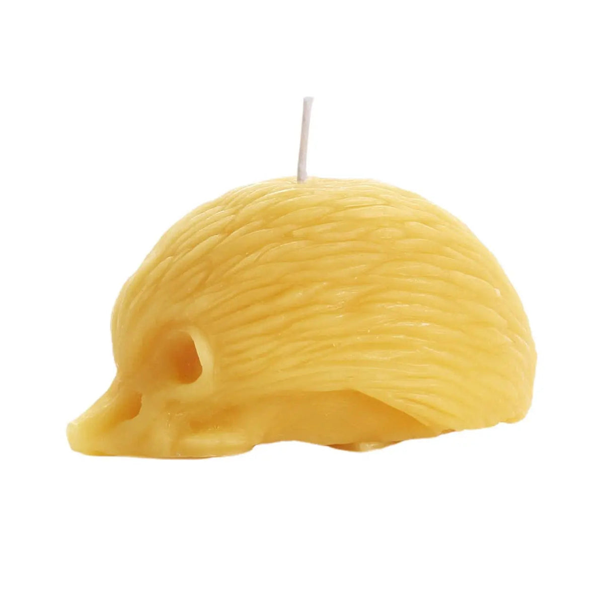 Hedgehog Candle – 100% Pure Beeswax – Handcrafted