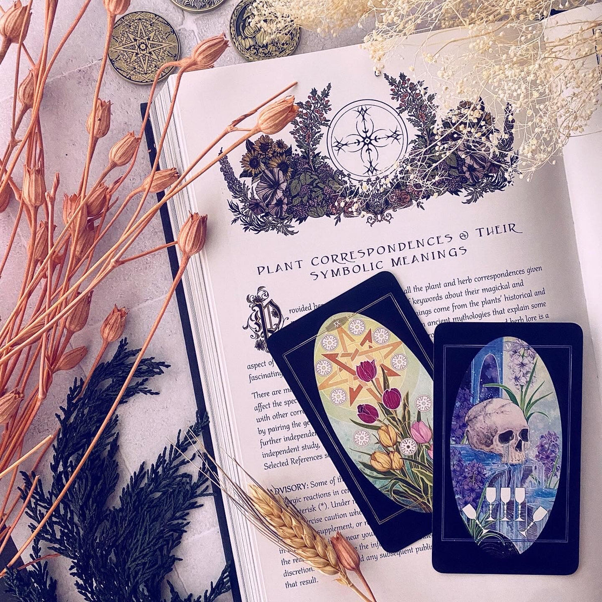 Children of Ostara Tarot Deck & Book Set Limited Gold Edition – Award-Winning 78-Card Botanical Tarot