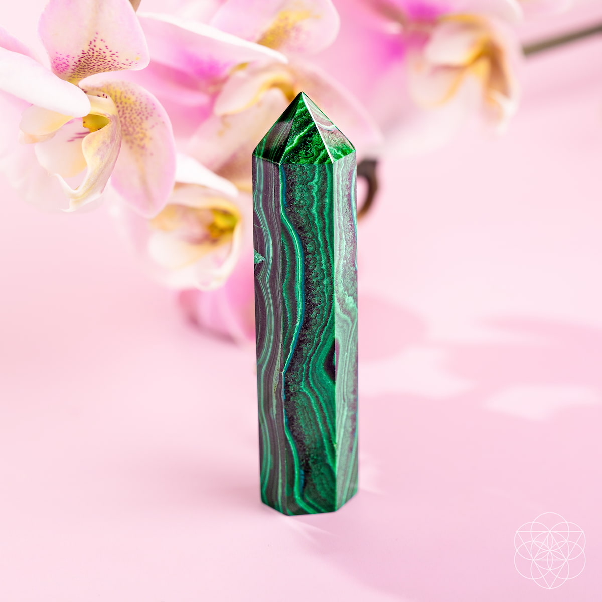 Malachite Phoenix Point