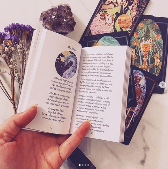 Children of Litha Tarot Deck & Book Set Black Edition – 78-Card Animal Kingdom Botanical Tarot