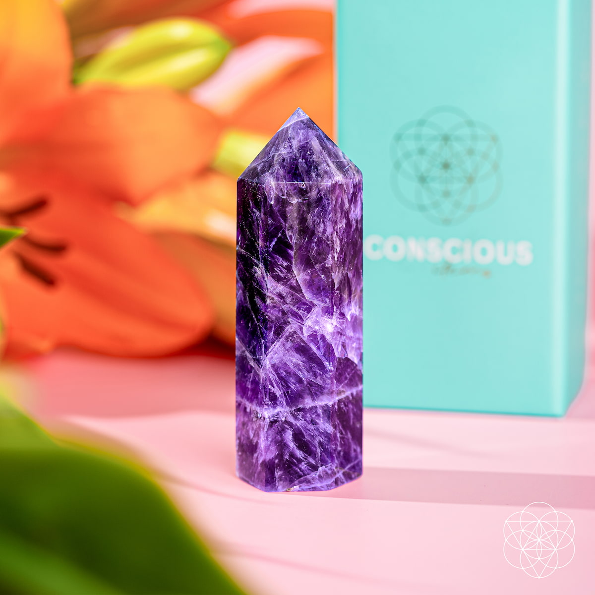 Chevron Amethyst Point