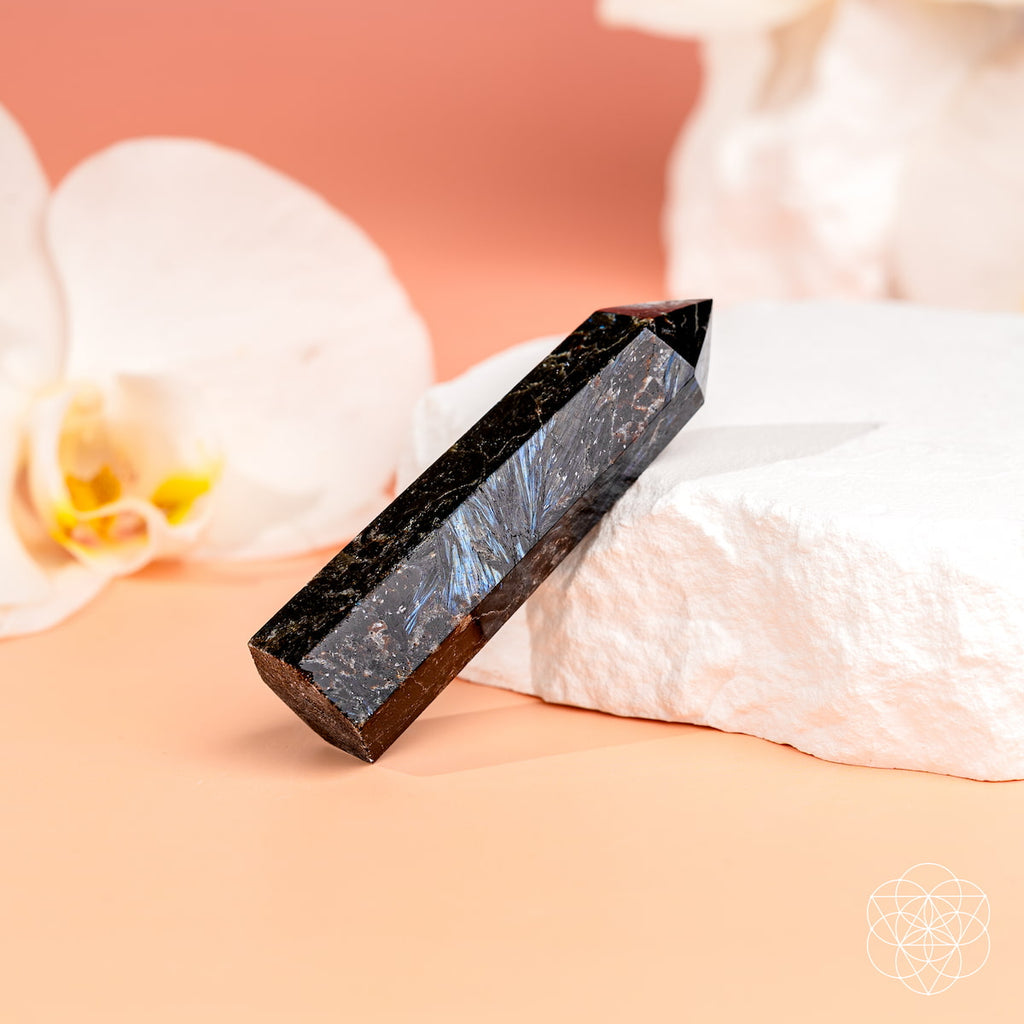 Rare Arfvedsonite Point