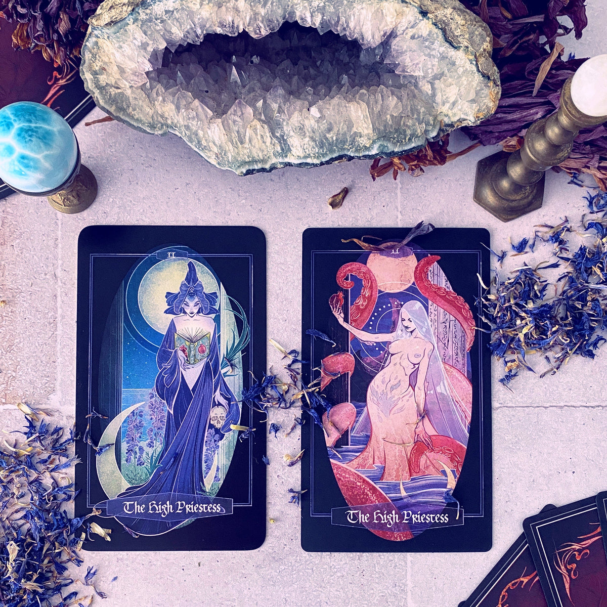 Children of Ostara Tarot Deck & Book Set Black Edition – Award-Winning 78-Card Botanical Tarot