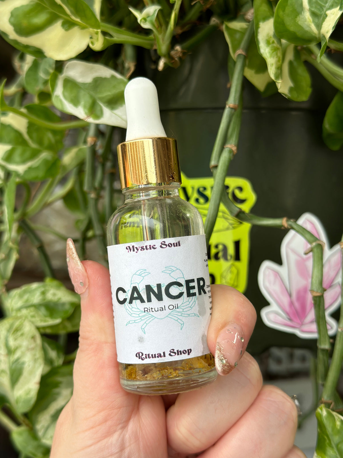 Zodiac Oils