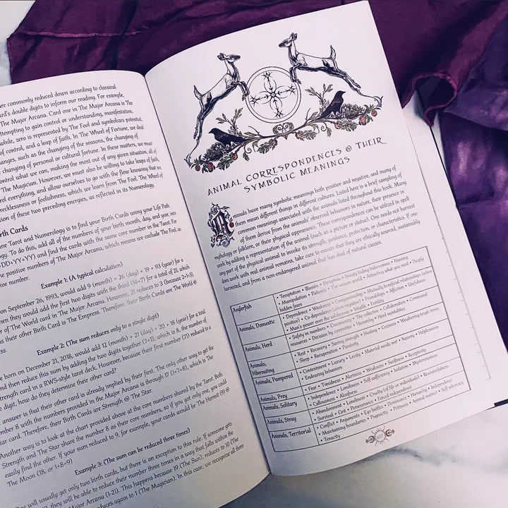 The Nameless One Tarot & Oracle Deck – Witchy Spiritual Divination Deck & Guidebook