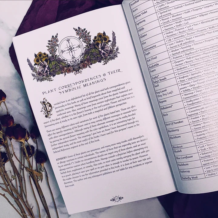 The Nameless One Tarot & Oracle Deck – Witchy Spiritual Divination Deck & Guidebook