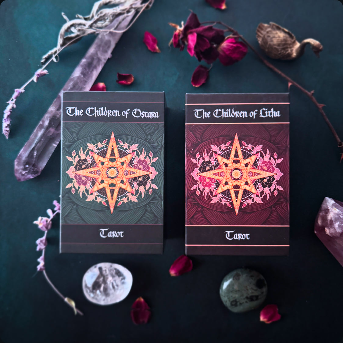 Children of Ostara Tarot Deck & Book Set Black Edition – Award-Winning 78-Card Botanical Tarot
