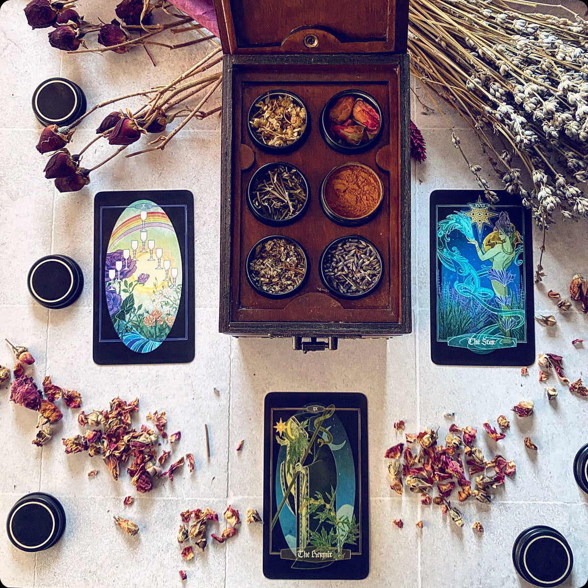 Children of Ostara Tarot Deck & Book Set Black Edition – Award-Winning 78-Card Botanical Tarot