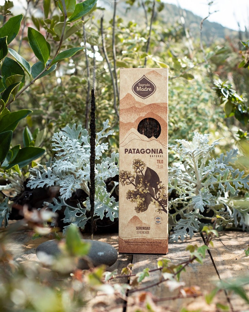Patagonia Incense Collection – Natural South American Incense Sticks Set for Meditation & Ritual