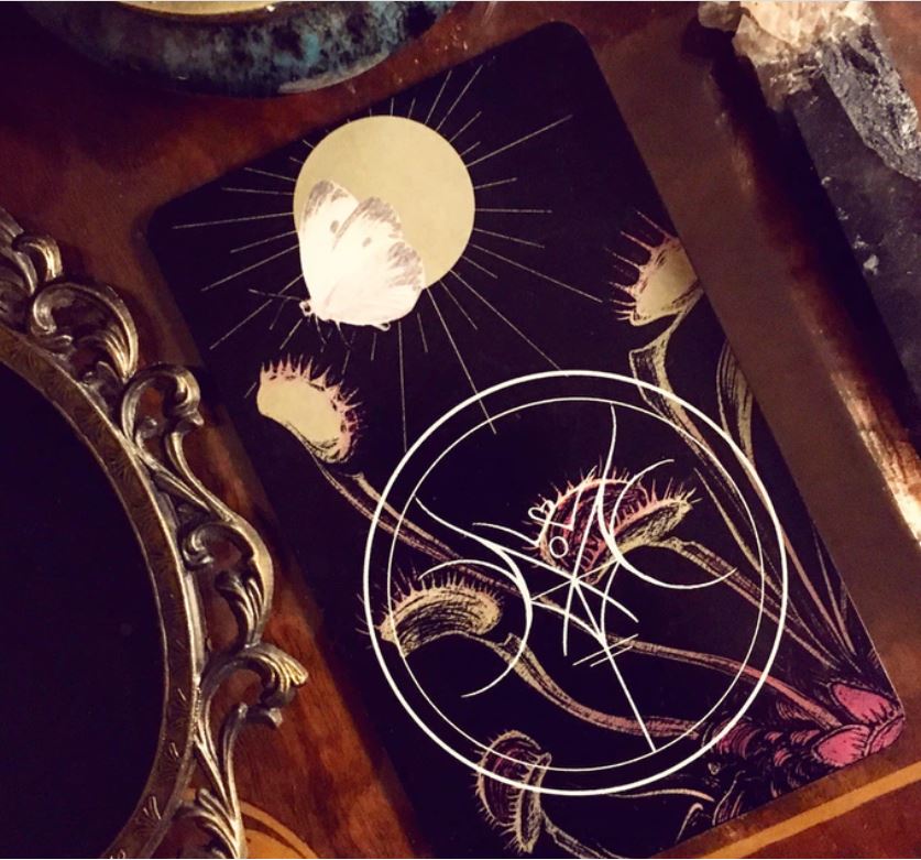 The Nameless One Tarot & Oracle Deck – Witchy Spiritual Divination Deck & Guidebook