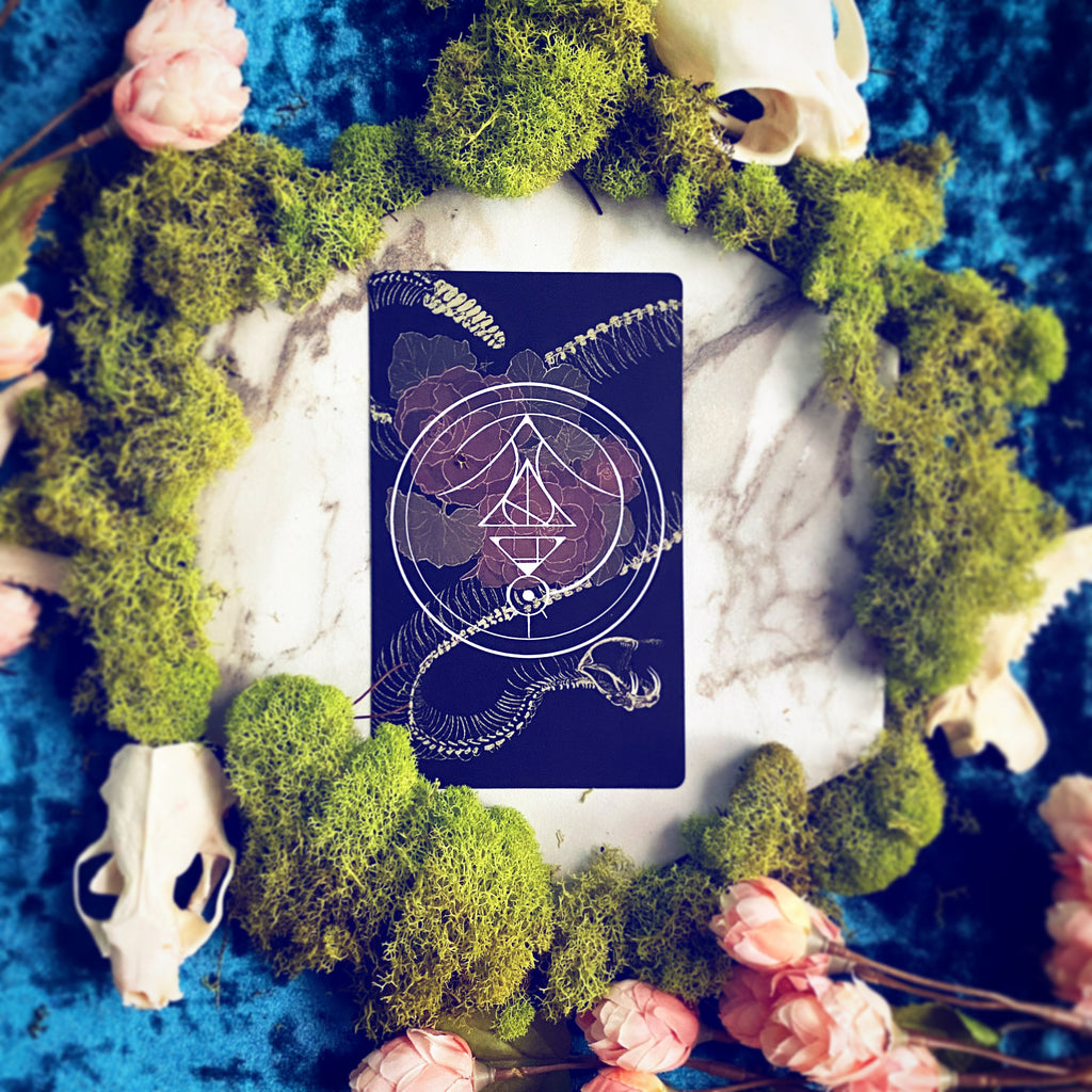 The Nameless One Tarot & Oracle Deck – Witchy Spiritual Divination Deck & Guidebook
