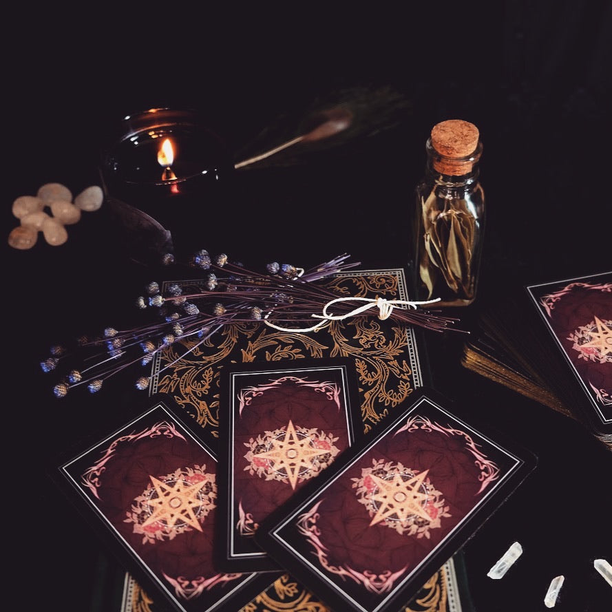 Children of Litha Tarot Deck & Book Set Black Edition – 78-Card Animal Kingdom Botanical Tarot