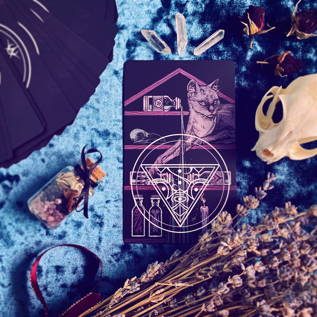 The Nameless One Tarot & Oracle Deck – Witchy Spiritual Divination Deck & Guidebook