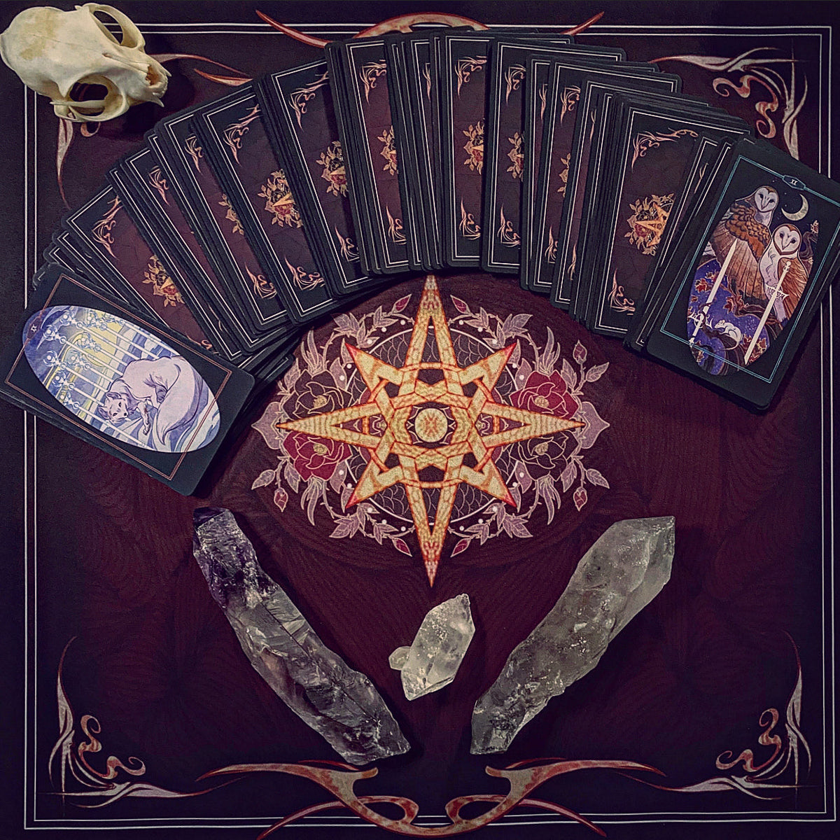 Children of Litha Tarot Deck & Book Set Black Edition – 78-Card Animal Kingdom Botanical Tarot